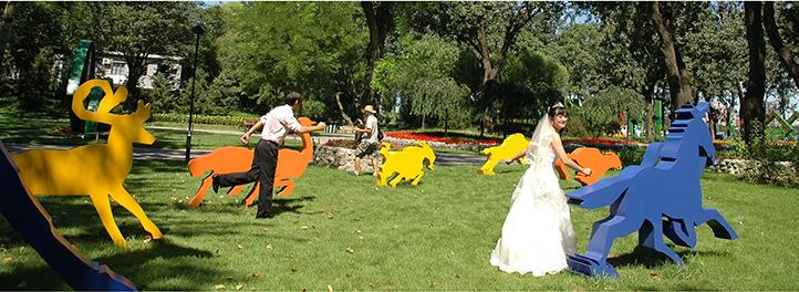 奔向自然之二--2008年