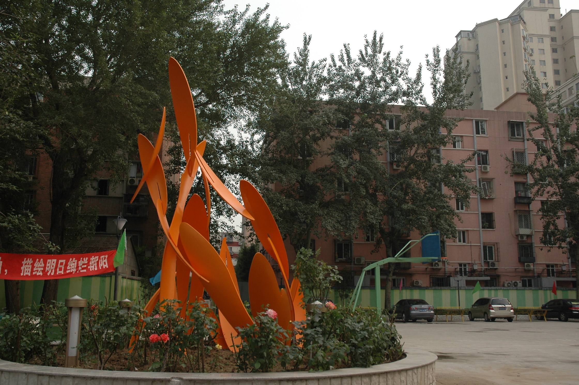 2011年6月----花雨